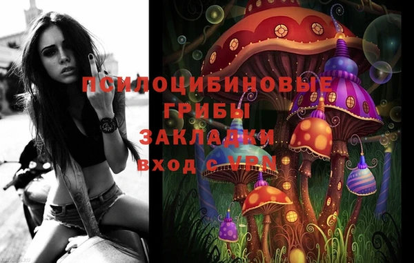 индика Зерноград