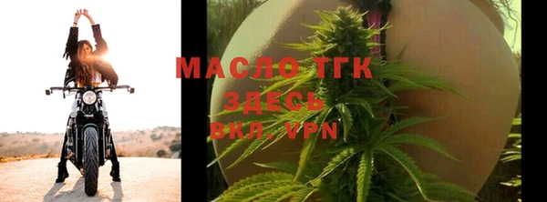 индика Зерноград