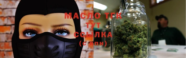 индика Зерноград