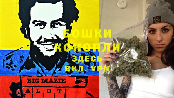 гашик Зеленокумск