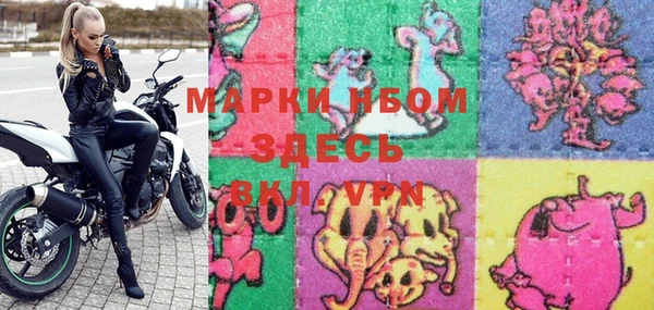 гашик Зеленокумск