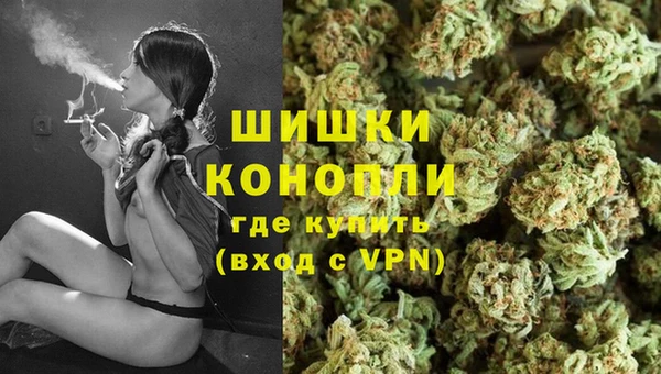 гашик Зеленокумск