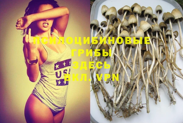 стафф Зеленодольск