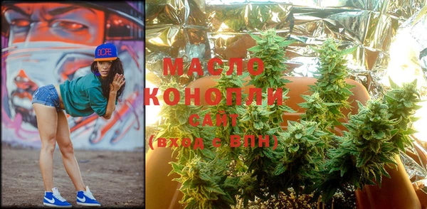 индика Зерноград