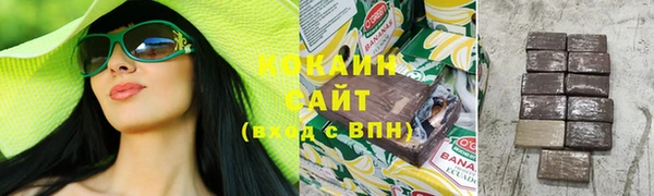 гашик Зеленокумск